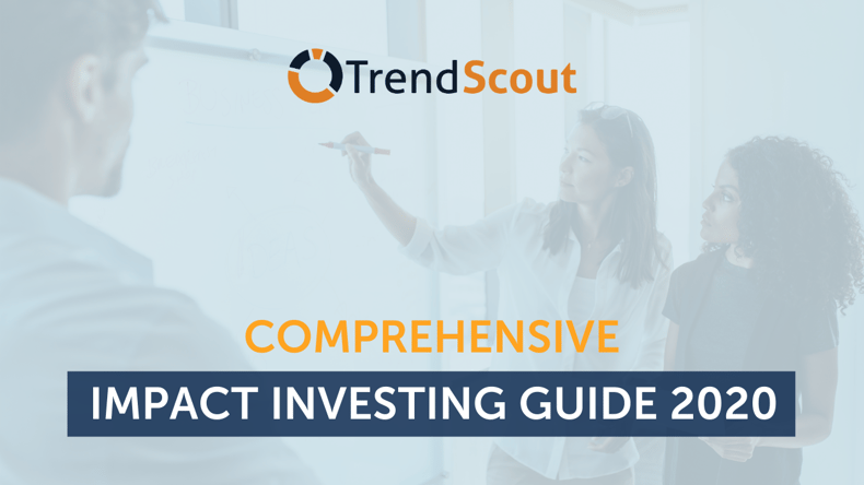Comprehensive Impact Investing Guide 2020