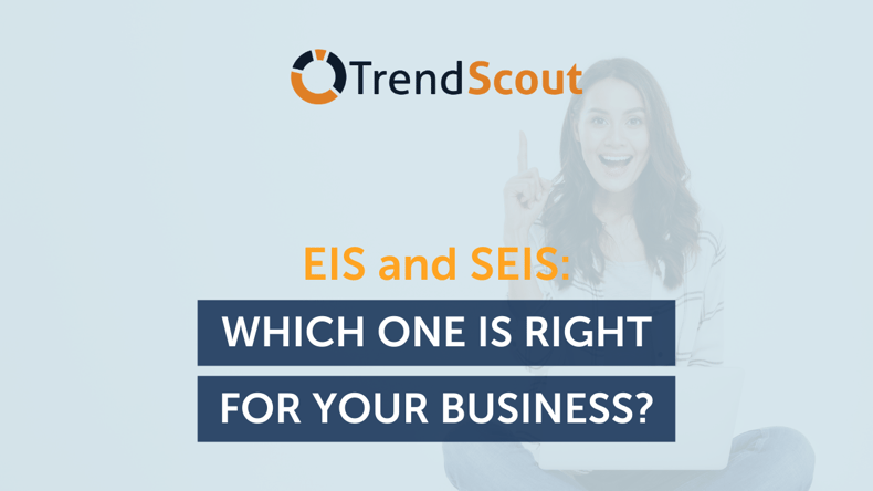 EIS and SEIS: Which One Is Right For Your Business?