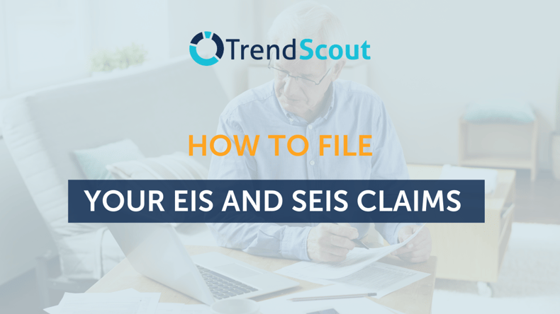 How To File Your EIS and SEIS Claims